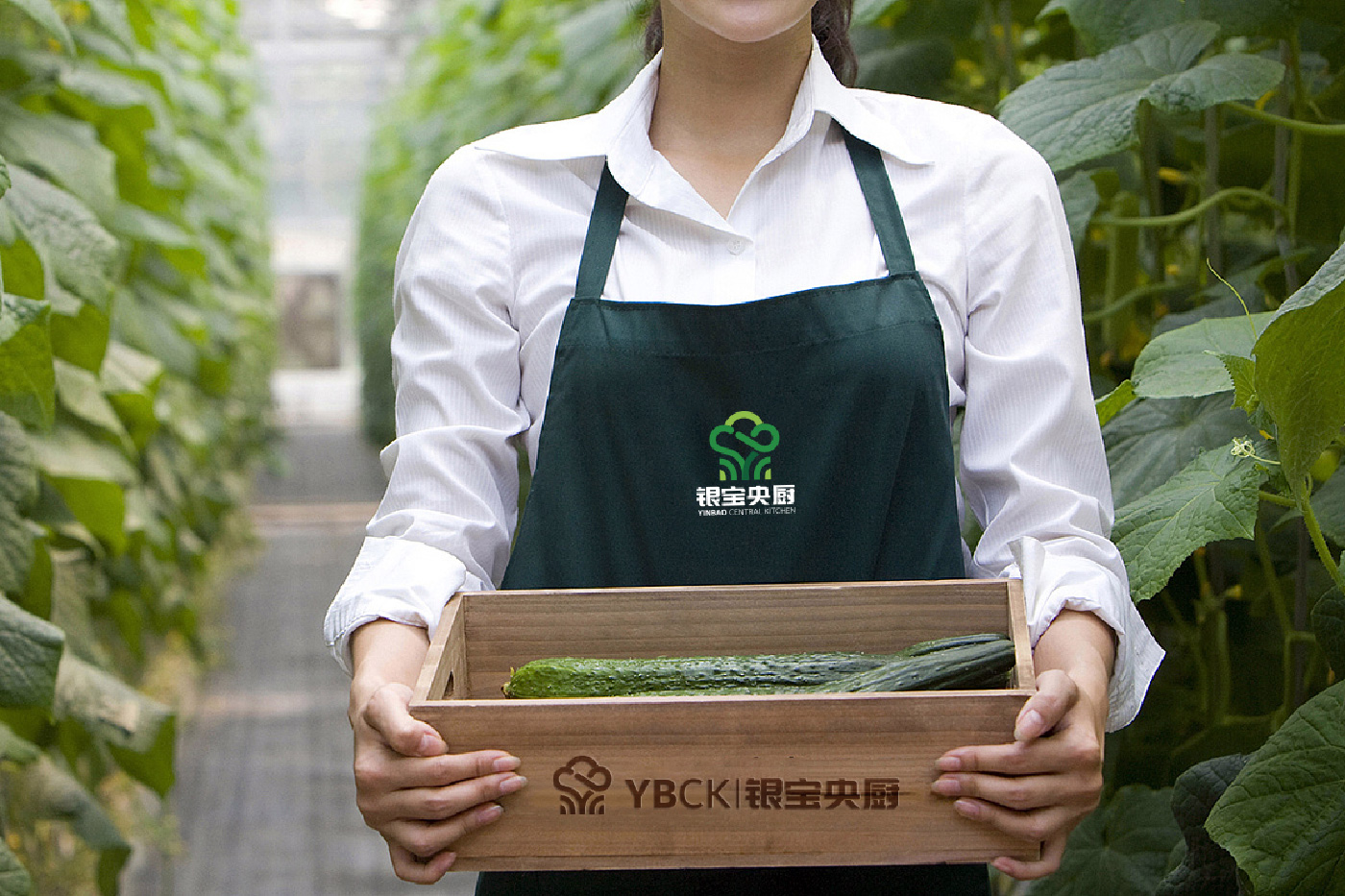 銀寶央廚品牌設計-清尚藝美